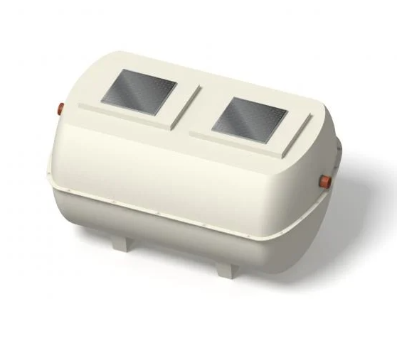 Shallow Ensign Plant 