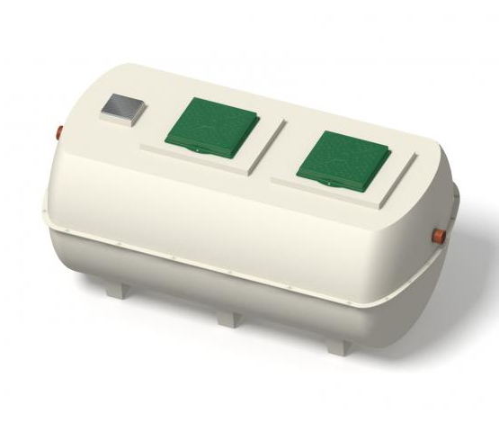 Shallow Ensign Plant 